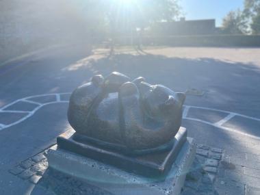 Lille bjørn i skolegården